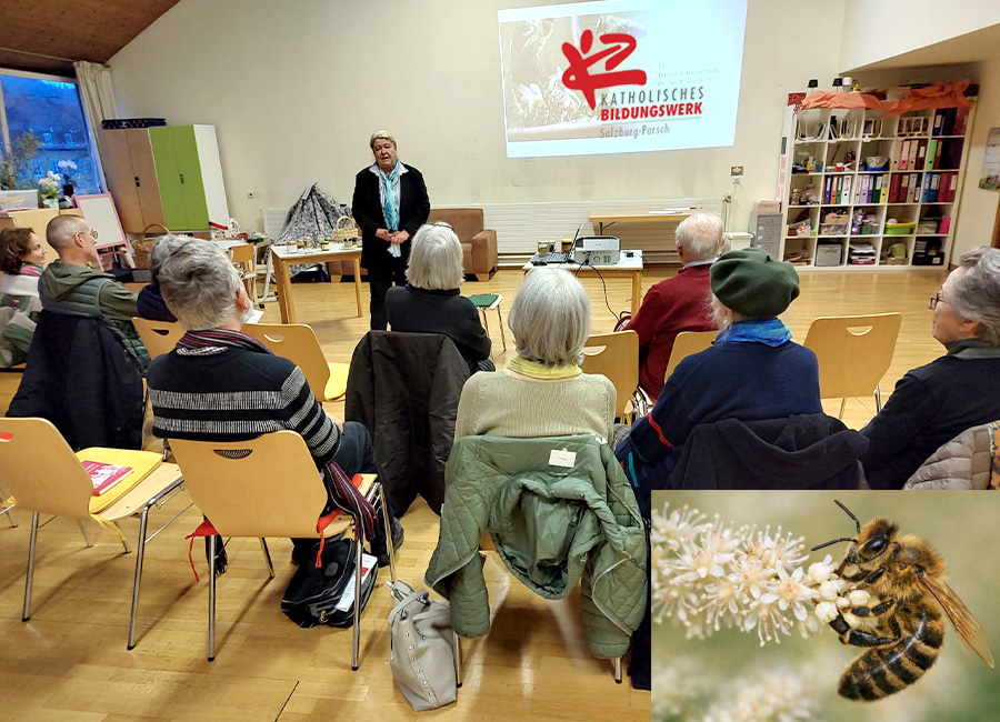 KBW Vortrag Bienen 2026 #pfarreparsch